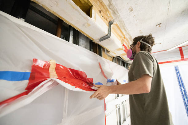 Best Basement Mold Removal  in Chamblee, GA